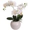 Elegant 18&#x22; White Phalaenopsis Orchid Arrangement in Ceramic Vase - Upgrade Your Home Decor